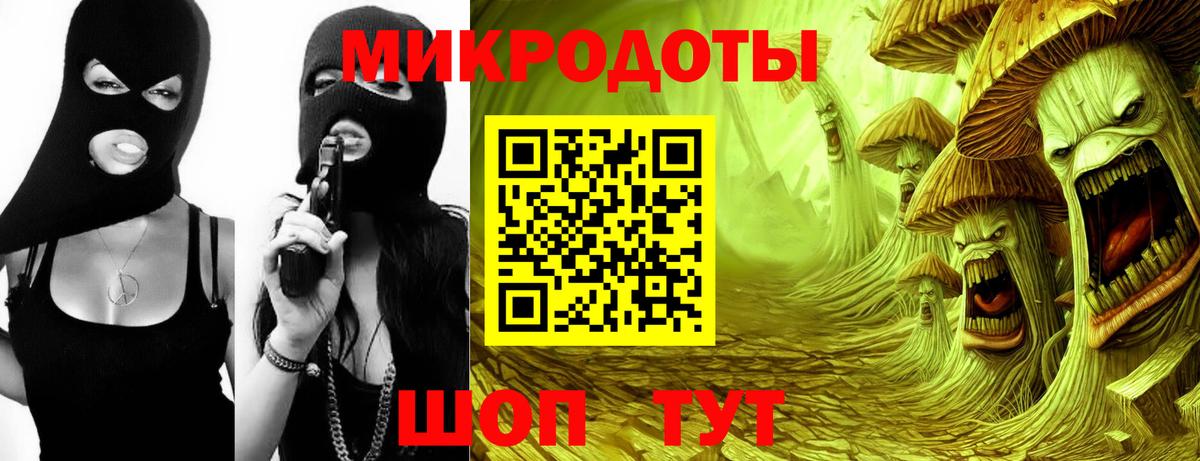 Галлюциногенные грибы Psilocybe Старый Оскол